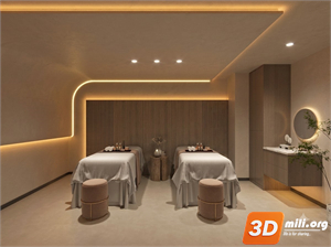 Spa Skp Files 